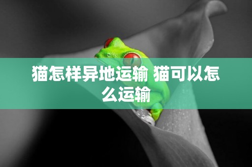 貓怎樣異地運輸 貓可以怎么運輸