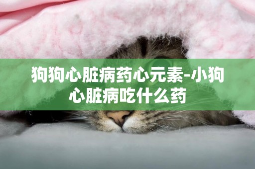 狗狗心臟病藥心元素-小狗心臟病吃什么藥