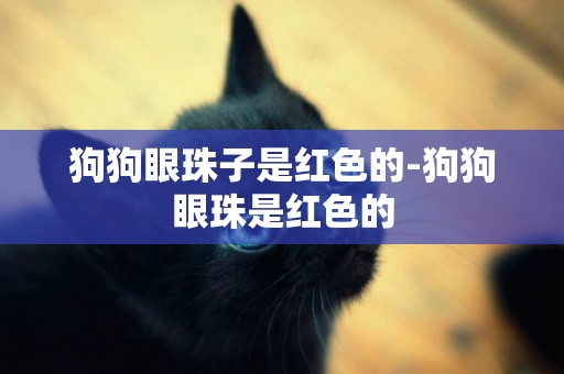 狗狗眼珠子是紅色的-狗狗眼珠是紅色的