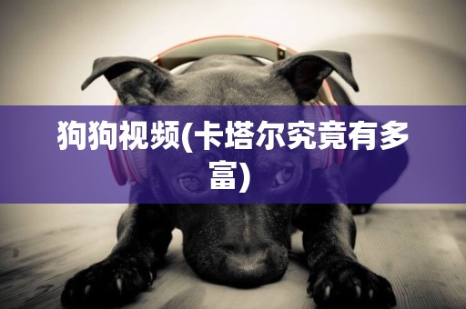 狗狗視頻(卡塔爾究竟有多富) 