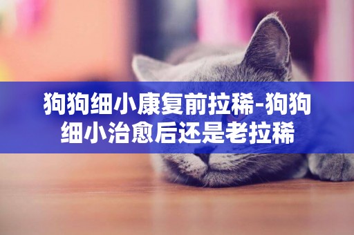 狗狗細小康復前拉稀-狗狗細小治愈后還是老拉稀