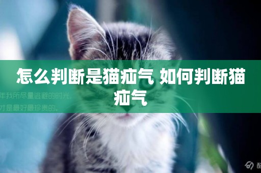 怎么判斷是貓疝氣 如何判斷貓疝氣