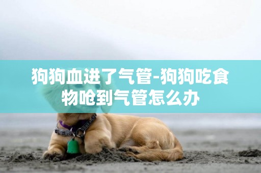 狗狗血進了氣管-狗狗吃食物嗆到氣管怎么辦
