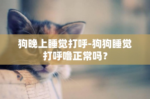 狗晚上睡覺打呼-狗狗睡覺打呼嚕正常嗎？