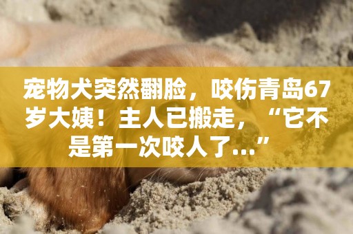 寵物犬突然翻臉，咬傷青島67歲大姨！主人已搬走，“它不是第一次咬人了…” 