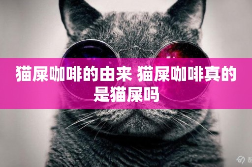 貓屎咖啡的由來 貓屎咖啡真的是貓屎嗎