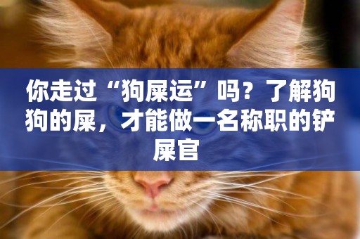 你走過“狗屎運”嗎？了解狗狗的屎，才能做一名稱職的鏟屎官 
