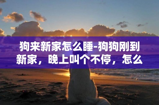狗來新家怎么睡-狗狗剛到新家，晚上叫個不停，怎么辦..？