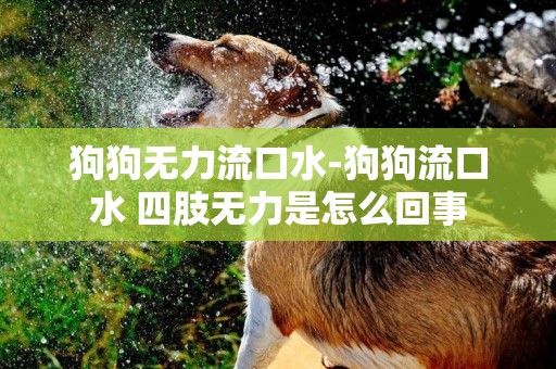 狗狗無力流口水-狗狗流口水 四肢無力是怎么回事