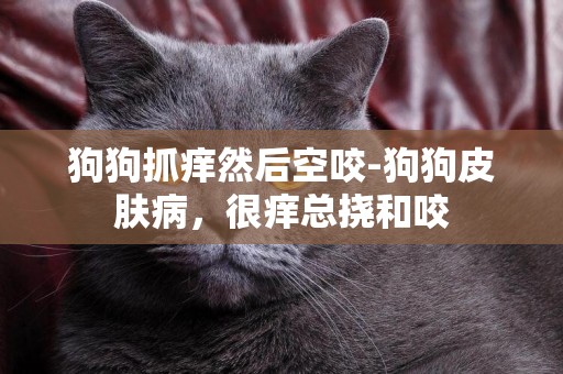 狗狗抓癢然后空咬-狗狗皮膚病，很癢總撓和咬