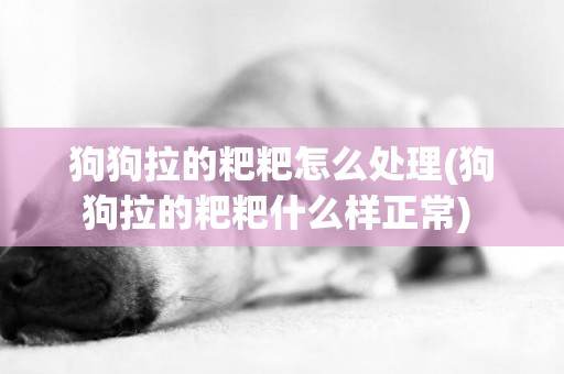 狗狗拉的粑粑怎么處理(狗狗拉的粑粑什么樣正常) 