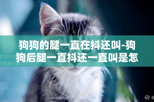 狗狗的腿一直在抖還叫-狗狗后腿一直抖還一直叫是怎么了，有辦法治療嗎