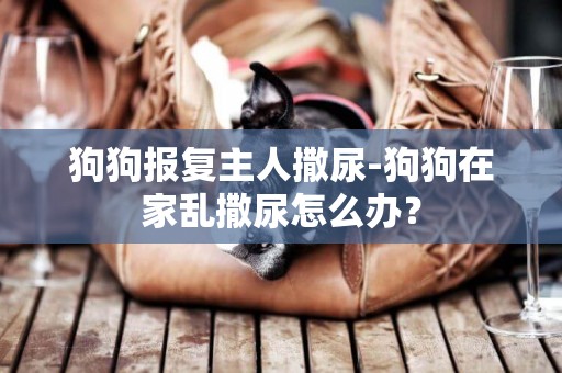狗狗報復主人撒尿-狗狗在家亂撒尿怎么辦？