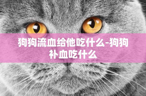 狗狗流血給他吃什么-狗狗補血吃什么