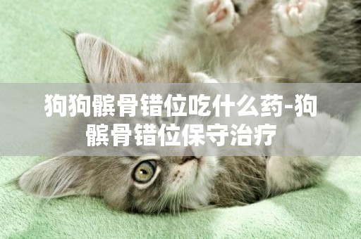 狗狗髕骨錯位吃什么藥-狗髕骨錯位保守治療