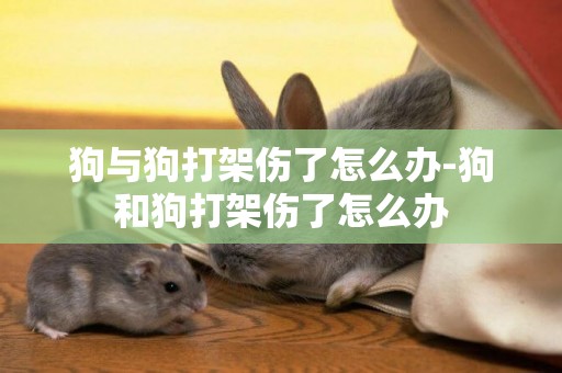 狗與狗打架傷了怎么辦-狗和狗打架傷了怎么辦