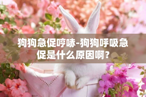 狗狗急促哼哧-狗狗呼吸急促是什么原因啊？