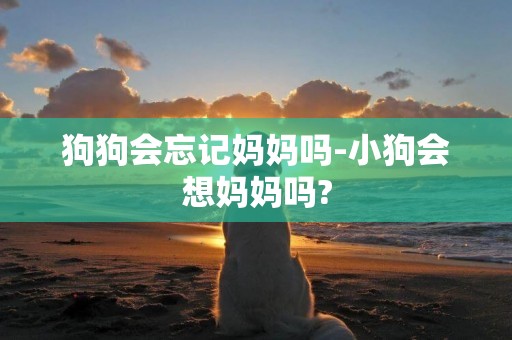 狗狗會忘記媽媽嗎-小狗會想媽媽嗎?