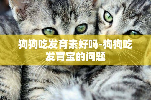 狗狗吃發育素好嗎-狗狗吃發育寶的問題