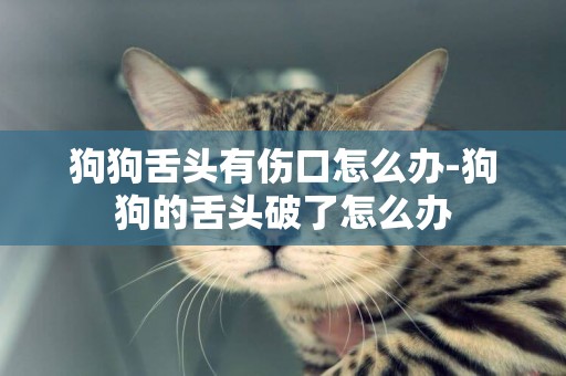狗狗舌頭有傷口怎么辦-狗狗的舌頭破了怎么辦