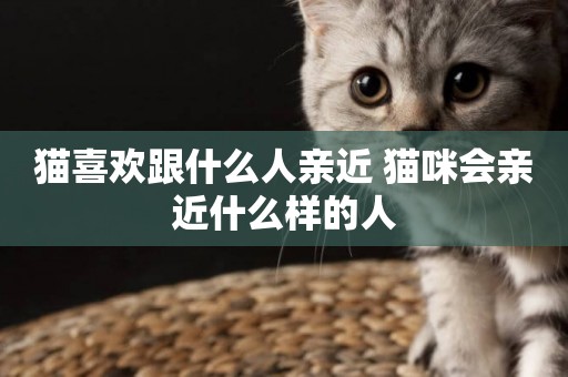 貓喜歡跟什么人親近 貓咪會親近什么樣的人