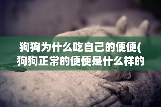 狗狗為什么吃自己的便便(狗狗正常的便便是什么樣的) 