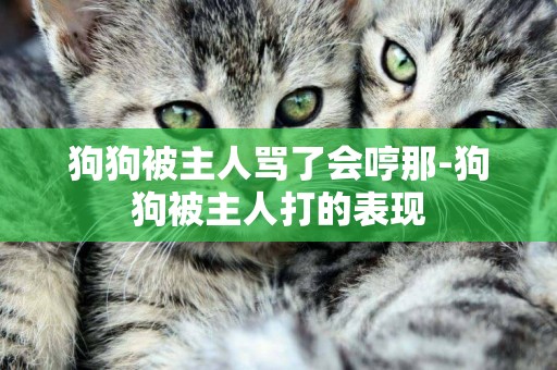 狗狗被主人罵了會哼那-狗狗被主人打的表現