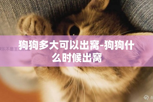 狗狗多大可以出窩-狗狗什么時候出窩