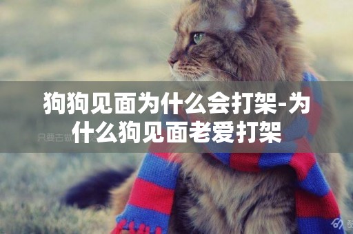 狗狗見面為什么會打架-為什么狗見面老愛打架