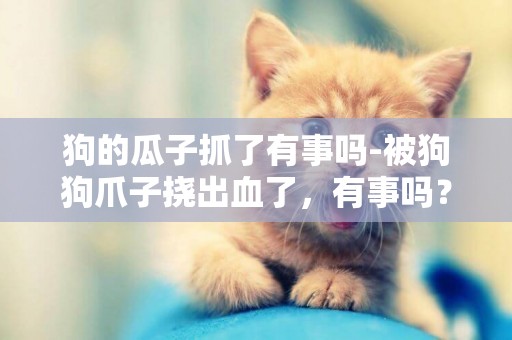 狗的瓜子抓了有事嗎-被狗狗爪子撓出血了，有事嗎？