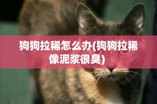 狗狗拉稀怎么辦(狗狗拉稀像泥漿很臭) 