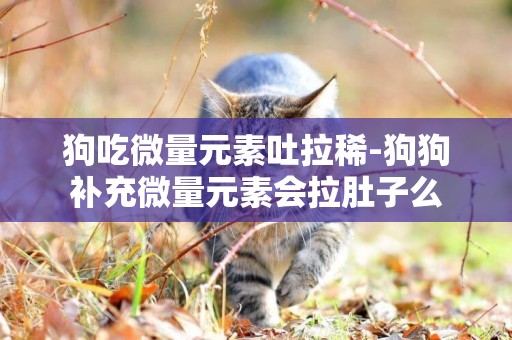 狗吃微量元素吐拉稀-狗狗補充微量元素會拉肚子么