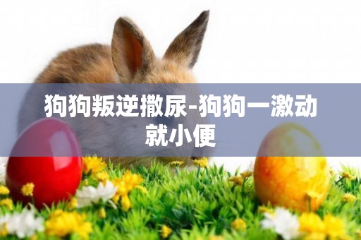 狗狗叛逆撒尿-狗狗一激動就小便
