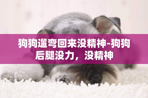 狗狗遛彎回來沒精神-狗狗后腿沒力，沒精神