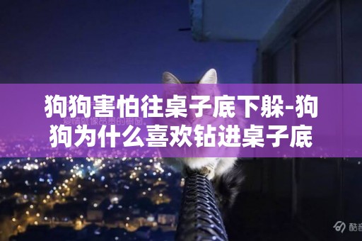 狗狗害怕往桌子底下躲-狗狗為什么喜歡鉆進桌子底