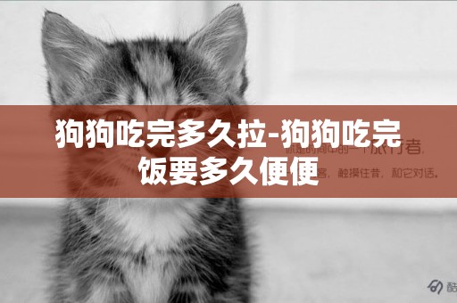 狗狗吃完多久拉-狗狗吃完飯要多久便便