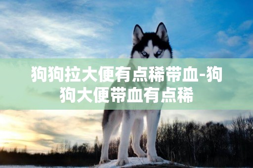 狗狗拉大便有點稀帶血-狗狗大便帶血有點稀