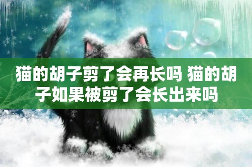 貓的胡子剪了會再長嗎 貓的胡子如果被剪了會長出來嗎