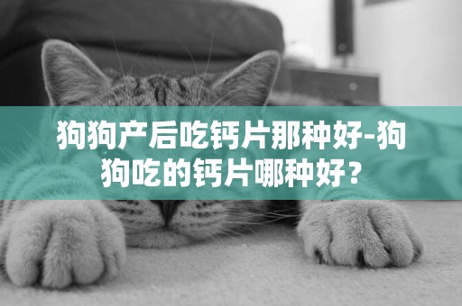 狗狗產后吃鈣片那種好-狗狗吃的鈣片哪種好？