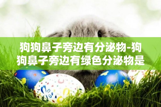 狗狗鼻子旁邊有分泌物-狗狗鼻子旁邊有綠色分泌物是什么原因