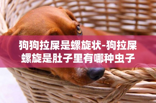 狗狗拉屎是螺旋狀-狗拉屎螺旋是肚子里有哪種蟲子