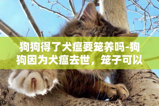 狗狗得了犬瘟要籠養嗎-狗狗因為犬瘟去世，籠子可以繼續使用嗎？