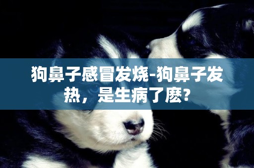 狗鼻子感冒發燒-狗鼻子發熱，是生病了麼？