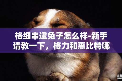 格細串逮兔子怎么樣-新手請教一下，格力和惠比特哪個逮兔子更好一點