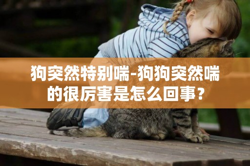 狗突然特別喘-狗狗突然喘的很厲害是怎么回事？
