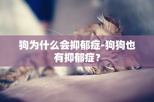 狗為什么會抑郁癥-狗狗也有抑郁癥？