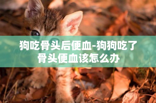 狗吃骨頭后便血-狗狗吃了骨頭便血該怎么辦