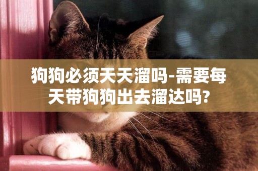 狗狗必須天天溜嗎-需要每天帶狗狗出去溜達嗎?