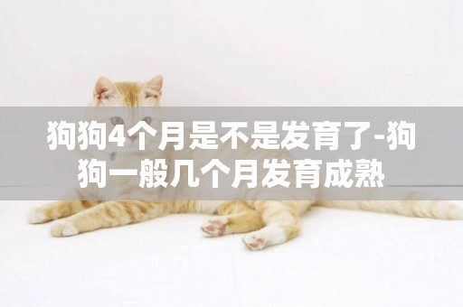 狗狗4個月是不是發育了-狗狗一般幾個月發育成熟