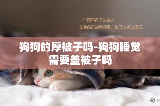狗狗的厚被子嗎-狗狗睡覺需要蓋被子嗎